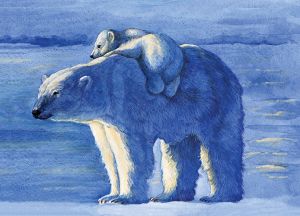 Белые медведи  ― PopCards.ru